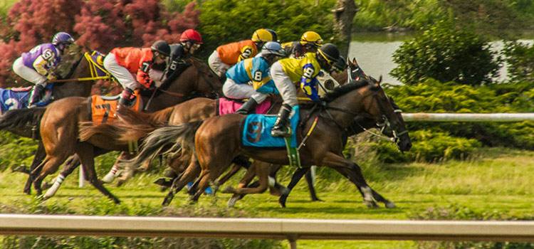 Photo of horses racing.